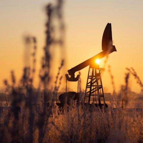 WhatsApp Image 2024-03-02 at 5.07.53 PM (5) WhatsApp Image 2024-03-02 at 5.07.53 PM (5)