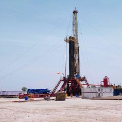 WhatsApp Image 2024-03-02 at 5.07.53 PM (8)