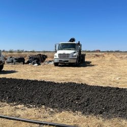 WhatsApp Image 2024-03-02 at 5.29.53 PM (3)